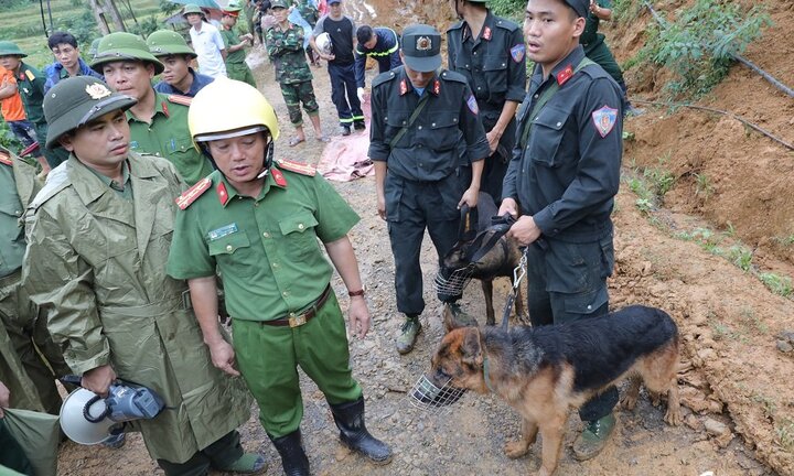 Sạt lở vùi lấp 18 người ở Hòa Bình: Đưa chó nghiệp vụ tìm kiếm các nạn nhân mất tích