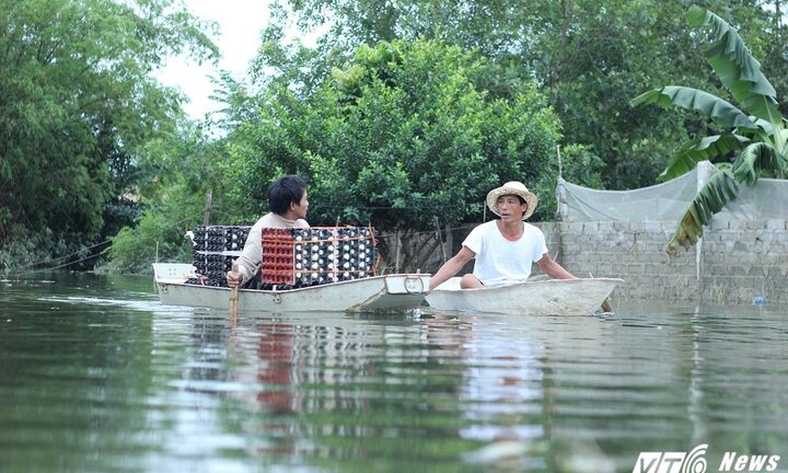 Ảnh: Sau 1 tuần vỡ đê, Chương Mỹ vẫn mênh mông nước