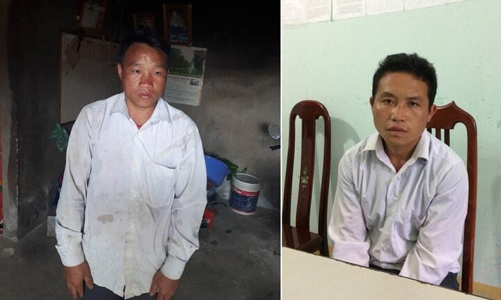 Đi tìm mua hoa phong lan, 2 người đàn ông trộm trâu trên đường trở về