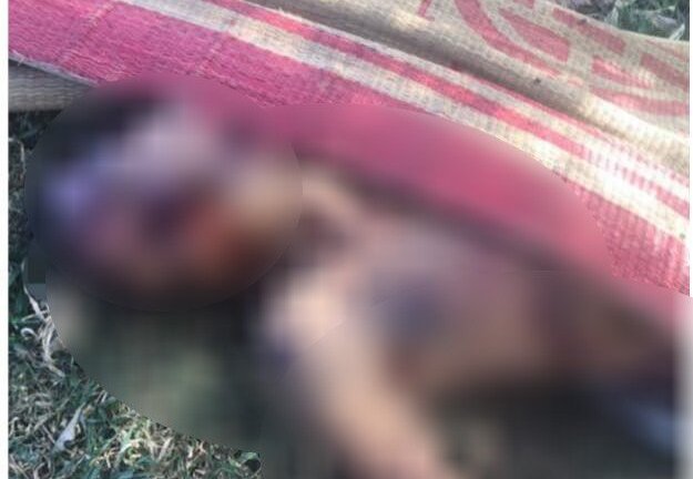 Phát hiện thi thể người đàn ông cởi trần nằm chết ven đường ở Nam Định