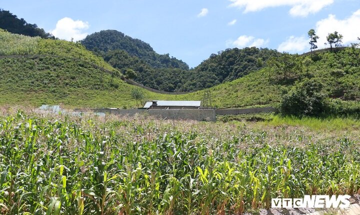 Đất đai và hàng chục khối gỗ quý của trùm ma túy Nguyễn Thanh Tuân được xử lý thế nào?