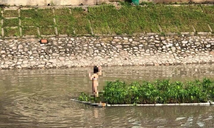 Cô gái mặc nội y bơi sông Hà Nội, leo lên bè thuỷ sinh tạo dáng chụp ảnh