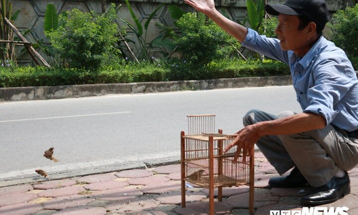 Rằm tháng 7, chim phóng sinh được thả cũng không thể bay