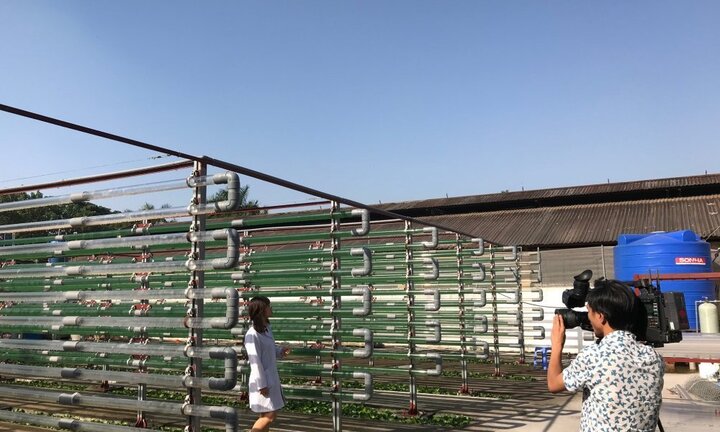 Loại tảo đặc biệt có thể chống được ung thư