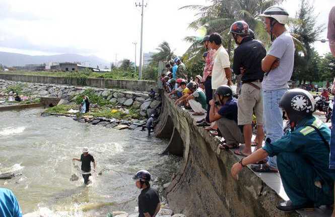 Sau bão, dân Đà Nẵng đổ ra biển bắt cá nước ngọt