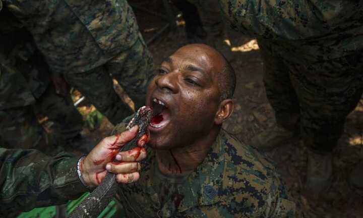 Những bài huấn luyện binh sĩ khắc nghiệt nhất thế giới