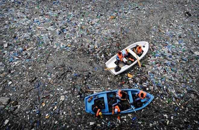 5 nguyên nhân đưa Trái đất tiến gần nguy cơ đại tuyệt chủng thứ 6