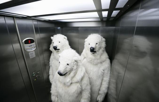 Ảnh: Thế giới đang làm gì để chống lại biến đổi khí hậu?