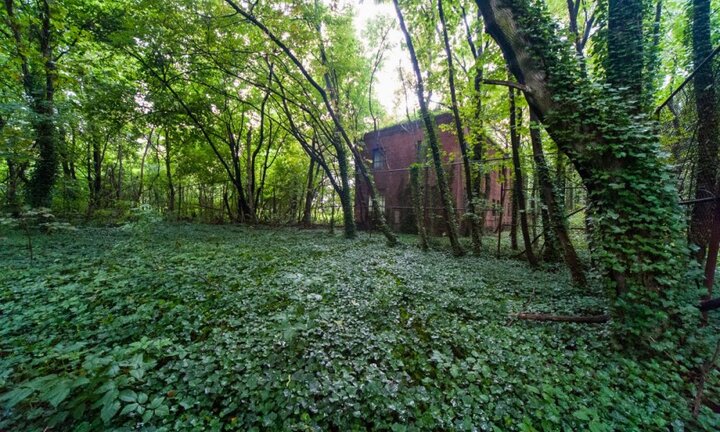 Bí ẩn hòn đảo ma giữa lòng New York