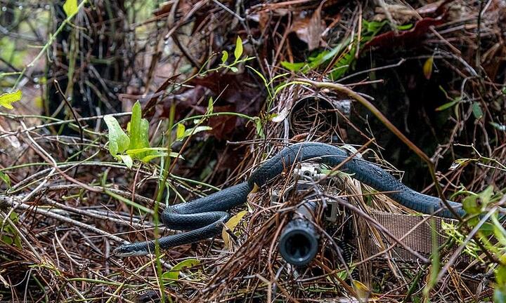 Những hình ảnh ấn tượng nhất của quân đội Mỹ trong năm 2018