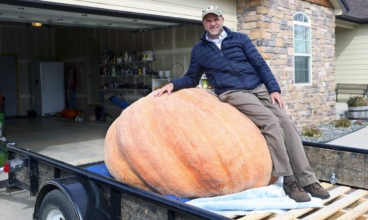 Choáng với quả bí ngô siêu nặng, gấp 7 lần con voi mới sinh