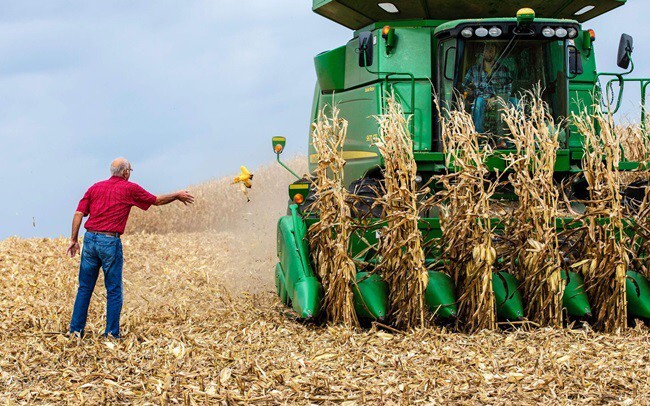 Mỹ sắp chi trả đợt 2 gói hỗ trợ nông dân thiệt hại do thương chiến