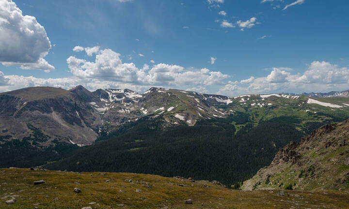 Con lợn suýt đẩy Anh, Mỹ tới chiến tranh