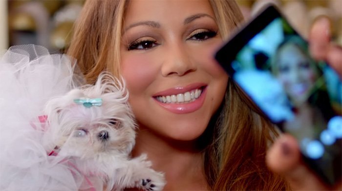 Những ngôi sao đại gia 'đốt tiền' cho thú cưng khủng khiếp thế nào?