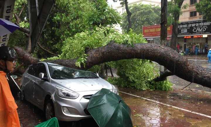 Hà Nội có 6 người thương vong do bão số 1