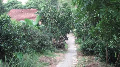 Án mạng chấn động vùng quê nghèo xứ Lạng