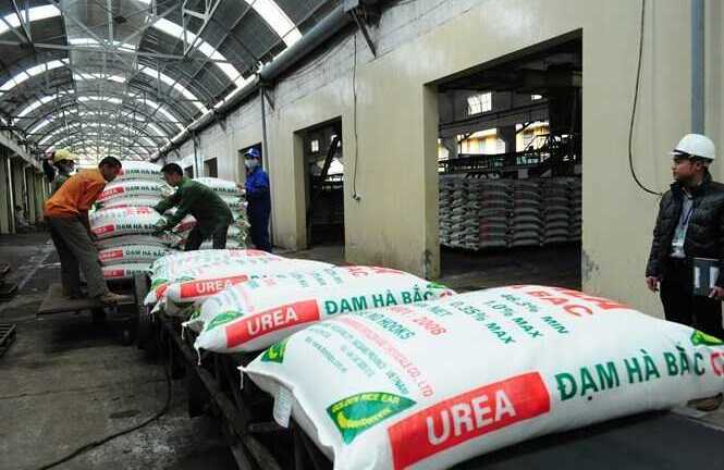 Thanh tra toàn diện Công ty cổ phần Phân đạm Hóa chất Hà Bắc