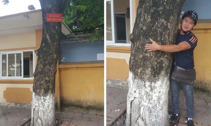 Video: Báu vật trị giá hàng chục tỷ đồng trên vỉa hè Hà Nội