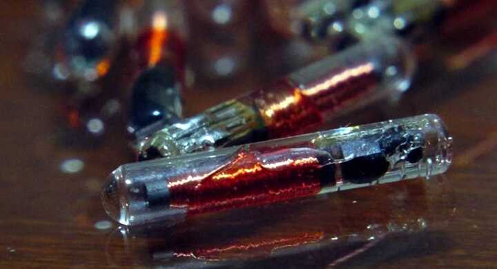 'Chưa đến 10 năm nữa, 50% người Mỹ sẽ được gắn chip vào cơ thể'