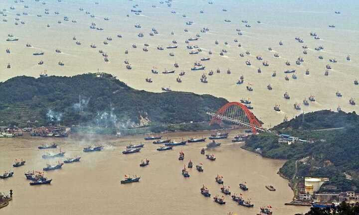 Trung Quốc huỷ hoại Biển Đông không thương tiếc, nghề cá trước nguy cơ sụp đổ