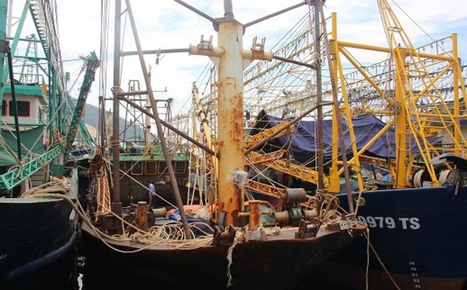 Tàu thép tiền tỷ rỉ sét: Dân rút đơn là việc riêng, Nhà nước vẫn phải kiểm tra, xử lý nghiêm