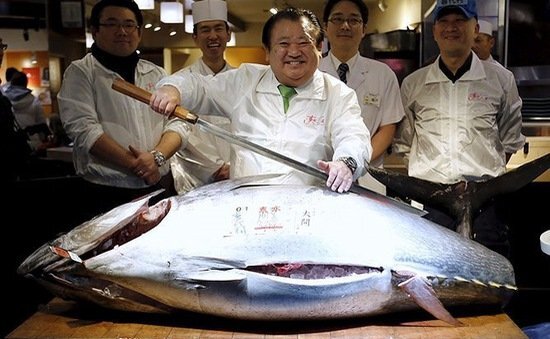 Cá ngừ vây xanh được bán với giá kỷ lục 3,1 triệu USD ở Nhật Bản