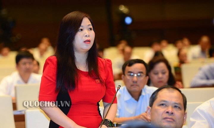 'Hiếm ở quốc gia nào, mỗi tỉnh, thành phố có một dự án như Việt Nam'