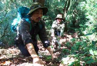 Người bí ẩn tặng “thần dược” chữa dạ dày khắp cả nước