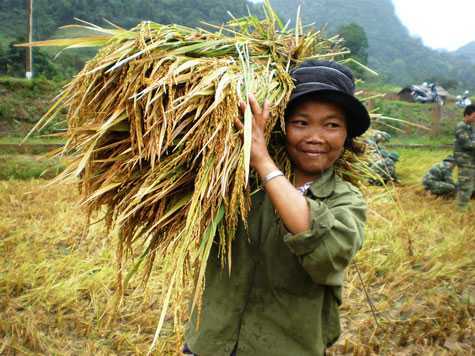 Sản phẩm 'cuộc cách mạng của người Rục'
