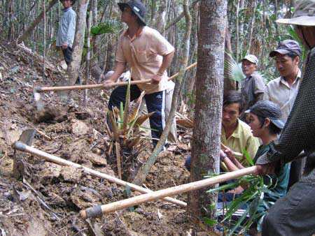 Cơn lốc xuất ngoại tìm thứ 'đắt khủng khiếp'