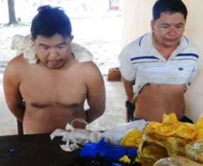 Chặn đứng 2 đường dây ma túy xuyên quốc gia