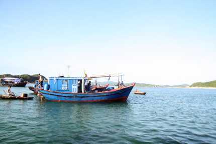 Truyền hình trực tiếp ủng hộ ngư dân Việt Nam