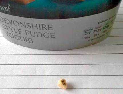 Phát hiện răng người trong món sữa chua