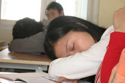 Bi hài 'diễn viên đóng thế' ở 'dịch vụ học thuê'