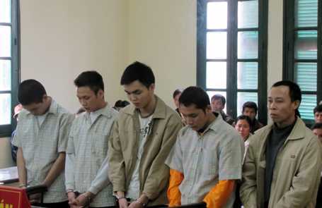 Trộm sưa hàng chục triệu, 'sưa tặc' hầu tòa