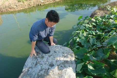 Ly kỳ 'kho vàng' giấu trong phiến đá cổ ở Thái Bình