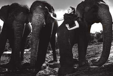 Clip: Top Model cưỡi voi, đi cà kheo...