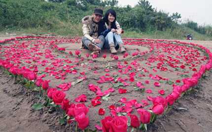 Kết 600 bông hồng thành hình trái tim để tỏ tình