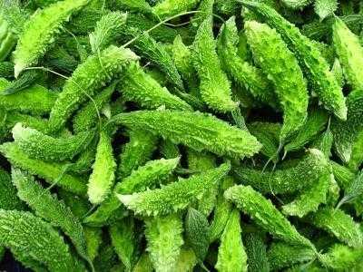 Xôn xao tin đồn mướp đắng gây chết người