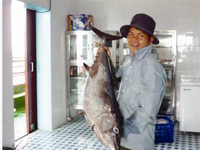 Thú vị chuyện giật cá sái tay ở nhà giàn giữa biển