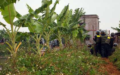 Thủ tướng yêu cầu làm rõ vụ cưỡng chế đất ở Hải Phòng