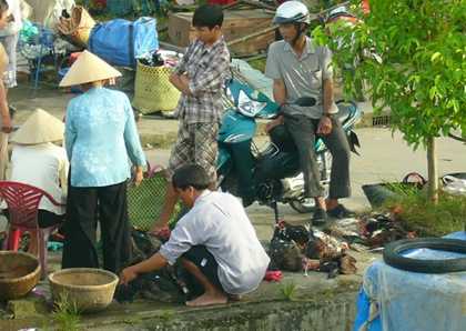 Kiên Giang: Một bệnh nhân tử vong vì nhiễm cúm A/H5N1