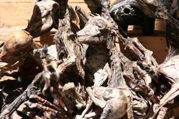 Ngày Tết cùng dạo qua những khu chợ độc nhất vô nhị