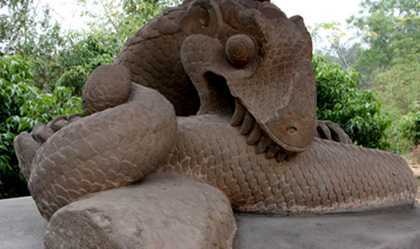 Những bí ẩn về “ông rồng” tự cắn xé thân mình