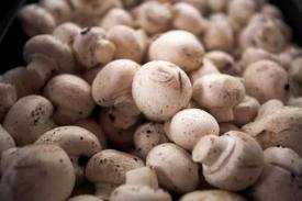 Không nên uống rượu cùng nấm