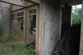 Tạm giữ nam thanh niên giao cấu với xác chết