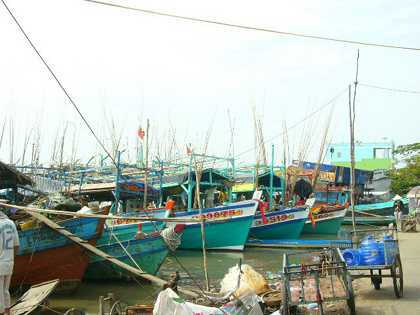 Cà Mau: Bị tàu lạ đâm chìm, 4 ngư dân tàu cá mất tích