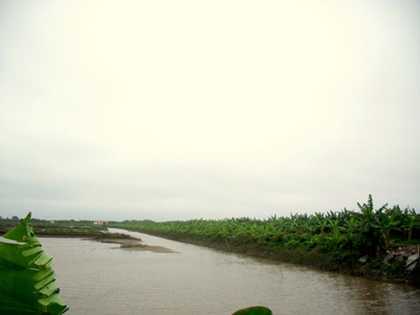 Đoàn Văn Vươn đã vật lộn 'đánh bạc' với trời thế nào?