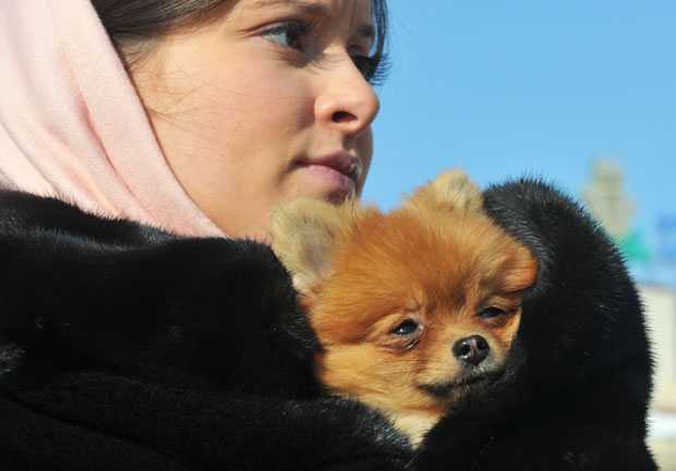 Ai mang cái lạnh chết chóc phủ trắng Châu Âu?