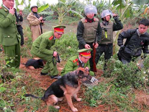 Cưỡng chế Tiên Lãng: 